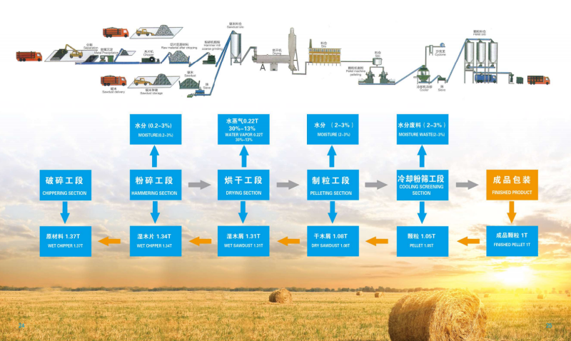 江南体育宣传册_13 - 副本.png